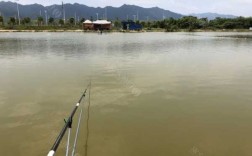 肇庆下雨钓鱼怎么样，肇庆野钓地点！