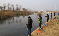 渭河最近钓鱼怎么样，渭河可以玩路亚吗？