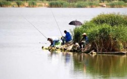 盛夏南风钓鱼怎么样，夏季南风好钓鱼吗?？