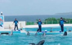 红果水库钓鱼怎么样，红果水族馆