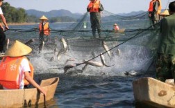 信阳南湾钓鱼怎么样，信阳南湾水库最大的鱼？