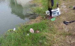 朝阳烧烤钓鱼怎么样，朝阳市野钓有什么地方吗