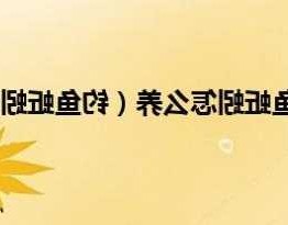 养大蚯蚓钓鱼怎么样？养大蚯蚓钓鱼怎么样啊？