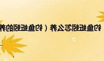 养大蚯蚓钓鱼怎么样？养大蚯蚓钓鱼怎么样啊？