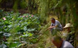 初夏荷塘钓鱼怎么样？荷塘钓鱼视频？