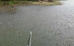 小雨中钓鱼怎么样？小雨钓鱼钓深还是钓浅？