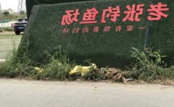 合肥老张钓鱼怎么样，庙桥老张钓场