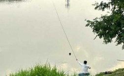 雨后初晴钓鱼怎么样，雨后初晴301