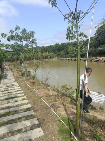 福州钓鱼环境怎么样，福州哪里可以钓大鱼！-图3