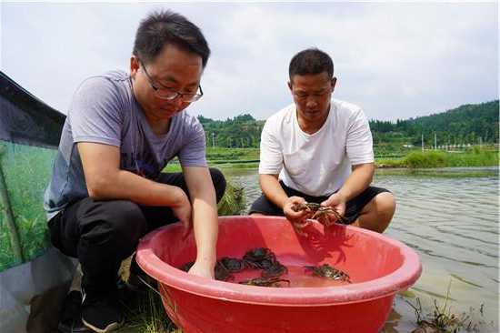 咸阳水产钓鱼怎么样，咸阳水产钓鱼怎么样啊-图1