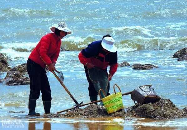 封海钓鱼怎么样？封海可以赶海吗？-图3