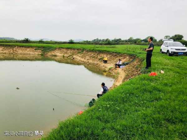 惠州河滩钓鱼怎么样，惠州河滩钓鱼怎么样好玩吗？-图2