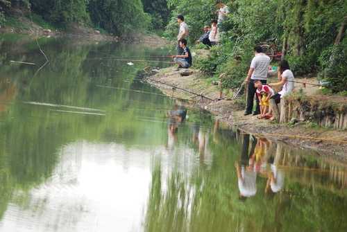 升仙湖钓鱼怎么样，升仙湖钓鱼怎么样啊-图3