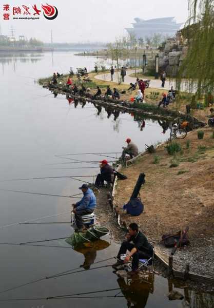 清水湖钓鱼怎么样，清水湖钓鱼怎么样好钓吗-图2