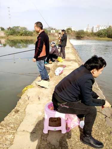 义乌夏天钓鱼怎么样，义乌本地钓鱼群？-图2