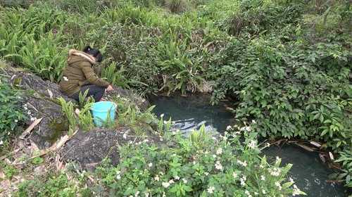 山崖下钓鱼怎么样，山崖鱼的图片-图3