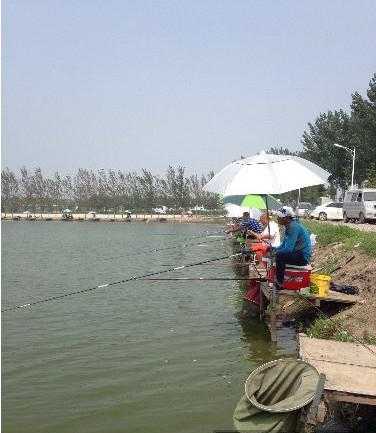 安阳河钓鱼怎么样，安阳钓场-图3