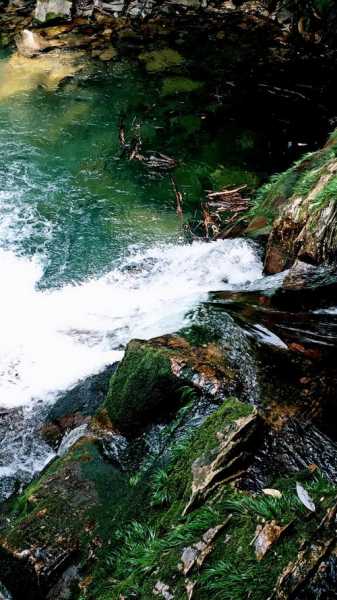 湖州溪水钓鱼怎么样，湖州溪水钓鱼怎么样好钓吗！-图3