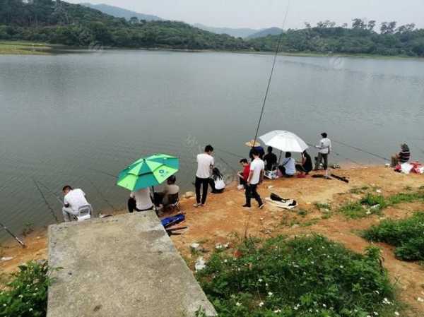 龙洞鱼塘钓鱼怎么样，龙洞水库可以野钓吗！-图2