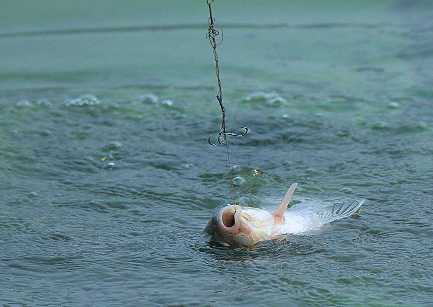 永泰冬天钓鱼怎么样，永泰冬天钓鱼怎么样好钓吗！-图2