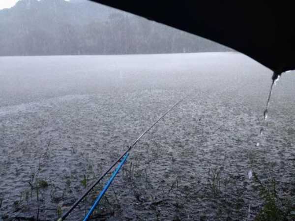 下雨发水钓鱼怎么样？下雨涨大水好钓鱼吗？-图3