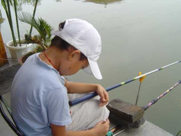 小孩钓鱼怎么样才好，儿童钓鱼的技巧-图3