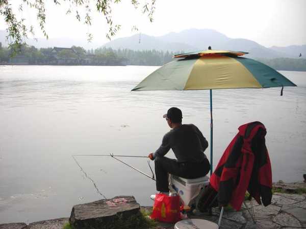 西湖出口钓鱼怎么样，杭州西湖景区钓鱼-图3