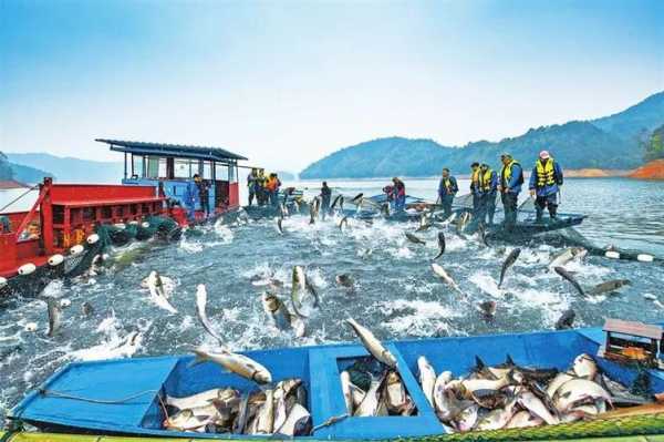 怀来大江钓鱼怎么样，大江水库钓鱼？-图1