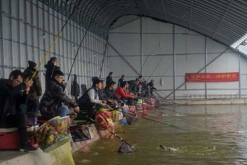 钓鱼赚钱工作怎么样，钓鱼的人怎么赚钱-图1