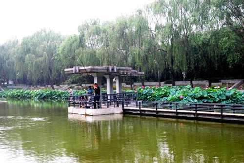 青城湖畔钓鱼怎么样，青城湖一期-图3
