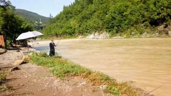 保定山洞钓鱼怎么样，保定山沟-图2