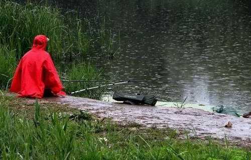 初夏阵雨钓鱼怎么样，初夏雨前好钓鱼吗？-图1