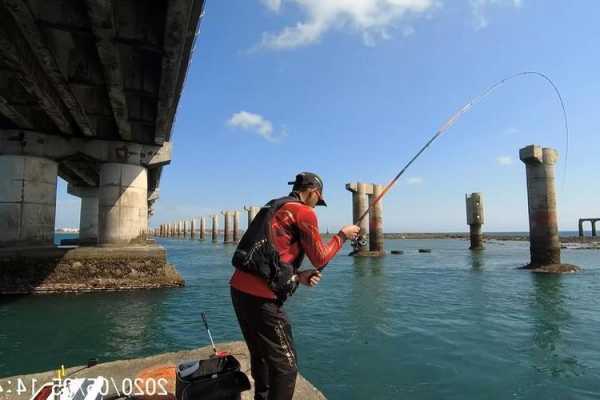 海边钓鱼会怎么样？海边钓鱼可以赚钱吗？-图2