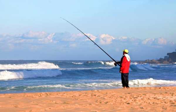 海边钓鱼会怎么样？海边钓鱼可以赚钱吗？-图1