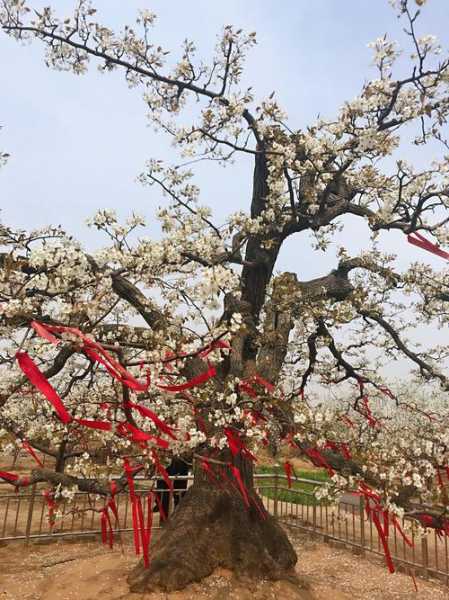 博野温室钓鱼怎么样，博野农场在哪里？-图1