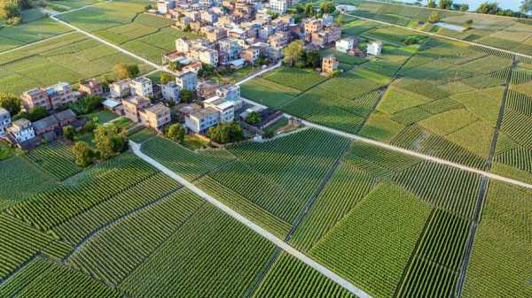 田东登高钓鱼怎么样？田东县登高房地产公司？-图2