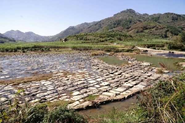 田东登高钓鱼怎么样？田东县登高房地产公司？-图3