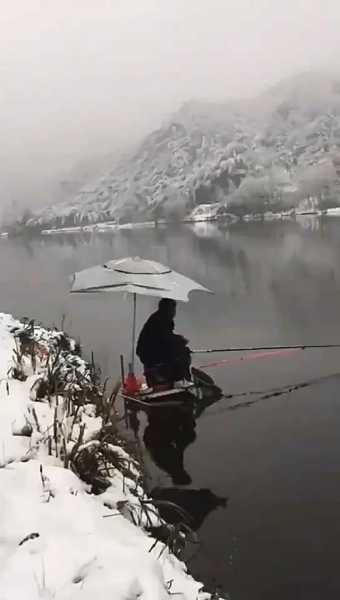 下雪了钓鱼怎么样，下雪了钓鱼怎么样好钓吗！-图1