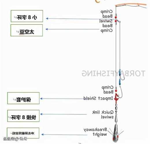 海虎钓鱼怎么样？海钓虎头鱼线组图？-图2