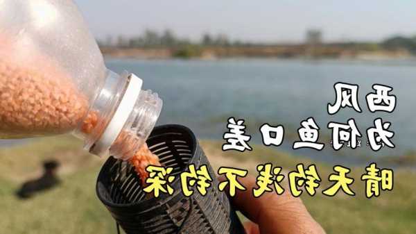 夏季西风钓鱼怎么样，西风合适钓鱼吗？-图3