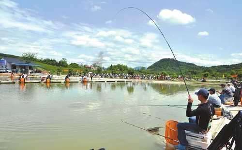 福田鱼塘钓鱼怎么样，福田鱼塘钓鱼怎么样最好-图3