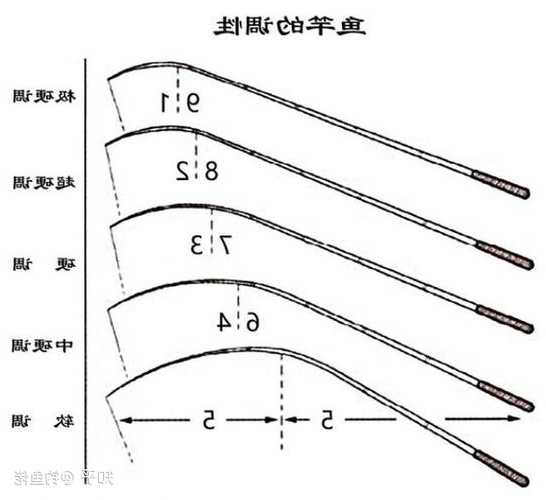 怎么样不用钓竿钓鱼，怎么样不用钓竿钓鱼视频教程-图3