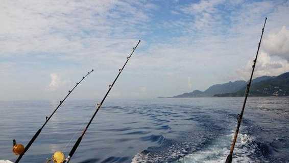 海边码头钓鱼怎么样，码头钓海鱼技巧！-图1