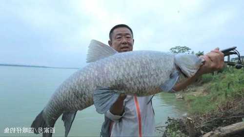 大物钓鱼怎么样，钓大物适合什么钓法！-图1