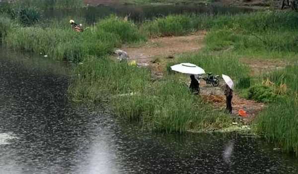 冒着秋雨钓鱼怎么样？冒雨垂钓？-图3