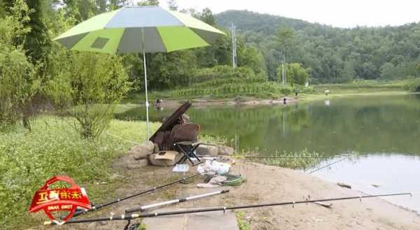 巴中通江钓鱼怎么样，巴中通江钓鱼怎么样好钓吗-图2