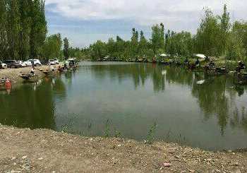 新疆钓鱼资源怎么样，新疆能钓鱼的水库-图3
