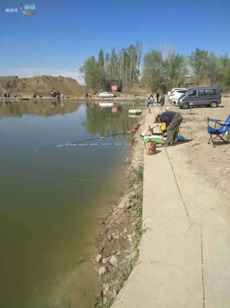 新疆钓鱼资源怎么样，新疆能钓鱼的水库-图2