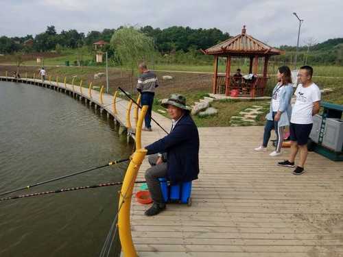 观光钓鱼场怎么样，观光钓鱼场怎么样好玩吗-图1