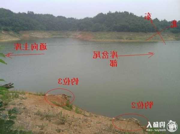 在水库怎么样钓鱼，在水库里怎么钓！-图1